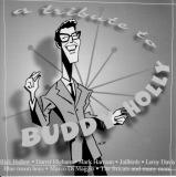Buddy